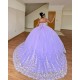 3D Flower Applique Lilac Quinceanera Dress 2024 Ball Gown Corset Mexican Sweet 16 Vestido De 15 Anos With Cape