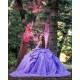 Butterfly Neckline Vestidos De 15 Anos Purple Quinceanera Dress Sequin Off Shoulder Instagram Gowns With Bow