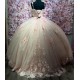 Customized Pink Quinceanera Dress Appliques Vestidos De Fiesta 2025 Ball Gown Evening Party Dresses