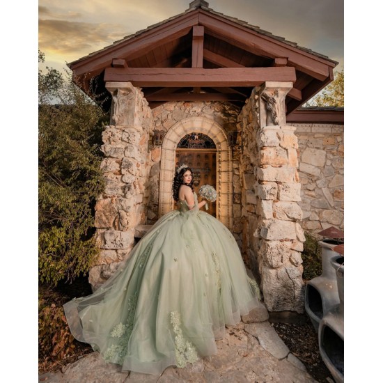 Customized Sage Green Quinceanera Dress Off Shoulder Ball Gown Applique Lace Sweet 16 Vestidos De 15 Anos