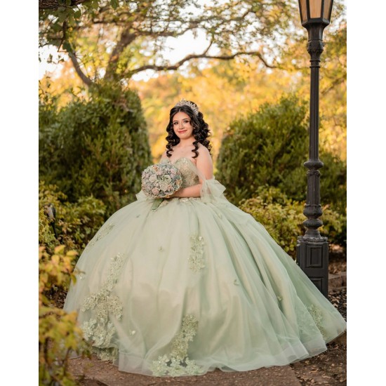 Customized Sage Green Quinceanera Dress Off Shoulder Ball Gown Applique Lace Sweet 16 Vestidos De 15 Anos