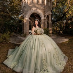 Customized Sage Green Quinceanera Dress Off Shoulder Ball Gown Applique Lace Sweet 16 Vestidos De 15 Anos