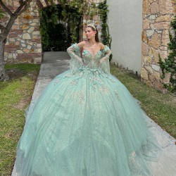 Detachable Sleeve Quinceanera Dress Sweetheart Neck Sage Green Sweet 15 Gowns Sweetheart Neck Vestidos De 15 Anos