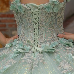 Detachable Sleeve Quinceanera Dress Sweetheart Neck Sage Green Sweet 15 Gowns Sweetheart Neck Vestidos De 15 Anos