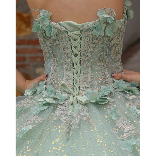 Detachable Sleeve Quinceanera Dress Sweetheart Neck Sage Green Sweet 15 Gowns Sweetheart Neck Vestidos De 15 Anos