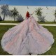 Elegant Ball Gown Mauve Quinceanera Dress Lace Up Appliques Formal Gowns Vestidos De 15 Anos Customized