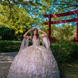 Elegant Rose Gold Quinceanera Dress 3D Flowers Ball Gown Corset Sweet 16 Vestido De 15 Anos