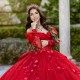 Long Sleeve Ball Gown Red Quinceanera Dresses Vestidos De 15 Quinceanera Sweetheart Neck Party Gown Customized