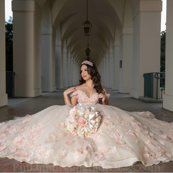 Off Shoulder Pink Quinceanera Dresses Sweetheart Neck 3D Flowers 15 Dress