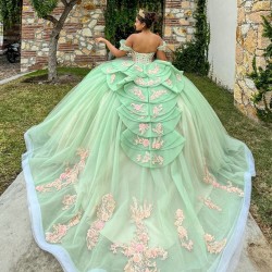 Off Shoulder Sage Green Ballgown Floral Appliques Quinceanera Dress 2024 Vestidos De 15 Anos