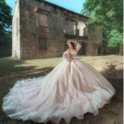 Long Sleeve Pink Quinceanera Dress Girls Ball Gown Sweet 16 Dresses Lace Appliques Sweetheart Neck Vestidos De 15 Anos