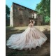 Long Sleeve Pink Quinceanera Dress Girls Ball Gown Sweet 16 Dresses Lace Appliques Sweetheart Neck Vestidos De 15 Anos