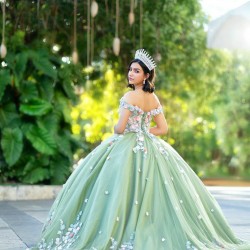 V Neck Sage Green Quince Dress Vestidos De 15 Anos Off Shoulder 3D Flowers Women 2024 Ball Gown