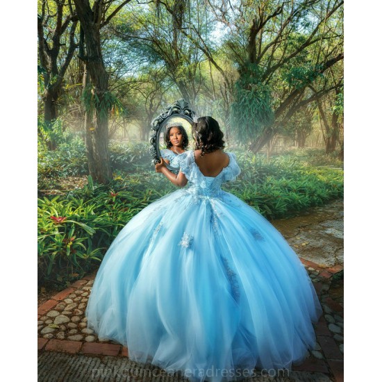 Off Shoulder Sky Blue Quince Dress Sweetheart Neck Vestidos De 15 Anos Wear Pageant 3D Flowers Women 2024 Ball Gown