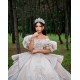 Sleeveless Champagne Quinceanera Dresses Beaded Appliques Ball Gown Sweet 16 15 Year Old Girl Vestidos De 15 Anos XV Customized