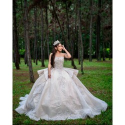 Sleeveless Champagne Quinceanera Dresses Beaded Appliques Ball Gown Sweet 16 15 Year Old Girl Vestidos De 15 Anos XV Customized