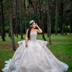 Sleeveless Champagne Quinceanera Dresses Beaded Appliques Ball Gown Sweet 16 15 Year Old Girl Vestidos De 15 Anos XV Customized