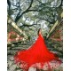 Sleeveless Red Prom Dress Lace Appliques Sweetheart Neck Birthday Party Gown