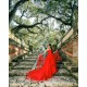 Sleeveless Red Prom Dress Lace Appliques Sweetheart Neck Birthday Party Gown