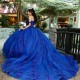 Spaghetti Strap Blue Quinceanera Dress Ball Gown 3D Floral Lace Applique Sweet 16 Vestido De 15 Anos