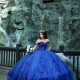 Spaghetti Strap Blue Quinceanera Dress Ball Gown 3D Floral Lace Applique Sweet 16 Vestido De 15 Anos