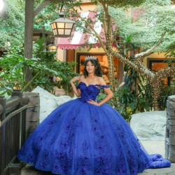 Spaghetti Strap Blue Quinceanera Dress Ball Gown 3D Floral Lace Applique Sweet 16 Vestido De 15 Anos