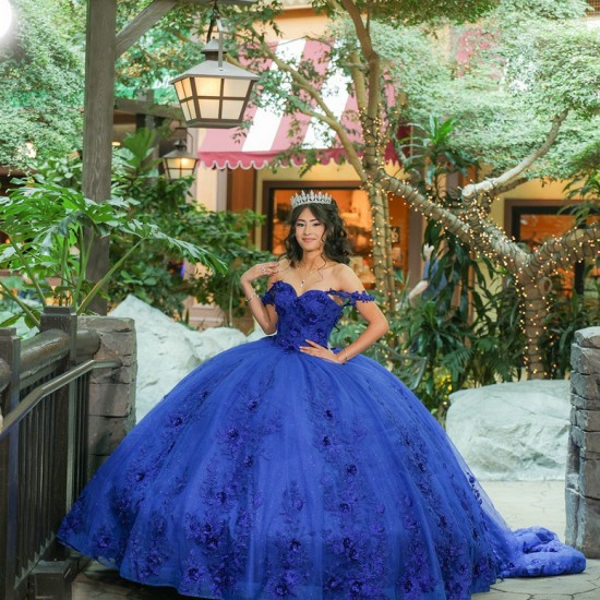 Spaghetti Strap Blue Quinceanera Dress Ball Gown 3D Floral Lace Applique Sweet 16 Vestido De 15 Anos