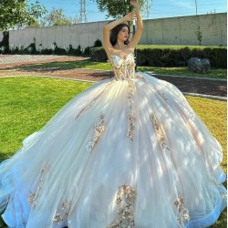 Sweetheart Neck Champagne Quinceanera Dresses 2024 Ball Gown Princess Dress Lace Appliques Two Piece Vestidos De 15 Anos