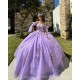 Lilac Quinceanera Dresses Sweetheart Neck 2024 Ball Gown Princess Dress Lace Appliques Sleeveless Vestidos De 15 Anos