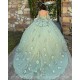 Sweetheart Neck Sage Green Quince Dress Girls Sweet 16 Dresses Sequin 3D Flowers Vestidos De 15 Anos Wear Pageant