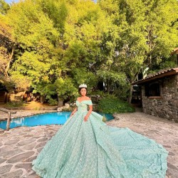 Sage Green Quinceanera Dress Off Shoulder Vestidos De 15 Anos Sequin Wear Pageant Sweetheart Neck Sweet 15 Prom Party Dresses