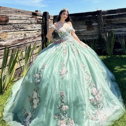 Sage Green Quinceanera Dress Sweetheart Neck Birthday Party Dresses Off Shoulder Lace Appliques Vestidos De 15 Anos