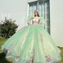 Sage Green Quinceanera Dresses Jacket V Neck 2024 Ball Gown Princess Dress Lace Appliques Vestidos De 15 Anos