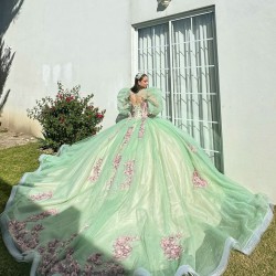 Sage Green Quinceanera Dresses Jacket V Neck 2024 Ball Gown Princess Dress Lace Appliques Vestidos De 15 Anos