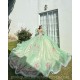 Sage Green Quinceanera Dresses Jacket V Neck 2024 Ball Gown Princess Dress Lace Appliques Vestidos De 15 Anos