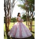 Off Shoulder Pink Quinceanera Dress Instagram Gowns Lace Appliques Girls Sweet 16 Dresses V Neck Wear Pageant