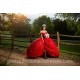 Sweetheart Neck Red Quinceanera Dress Women 2024 Ball Gown Lace Appliques Girls Sweet 16 Dresses Off Shoulder Wear Pageant