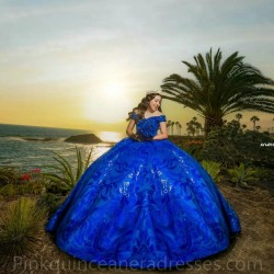 Off Shoulder 2024 Instagram Gowns Blue Quince Dress Lace Appliques Birthday Party Dresses Sweetheart Neck Vestidos De 15 Anos 