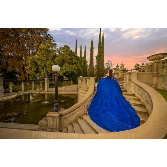 Long Sleeve Blue Quinceanera Dress Sweet 15 Gowns Lace Appliques Wear Pageant Sweetheart Neck 2024 Ball Gown Princess Dresses