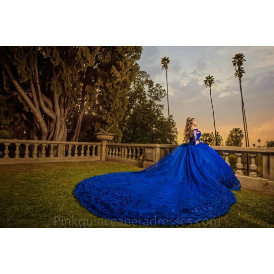 Long Sleeve Blue Quinceanera Dress Sweet 15 Gowns Lace Appliques Wear Pageant Sweetheart Neck 2024 Ball Gown Princess Dresses