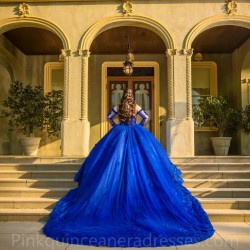 Long Sleeve Blue Quinceanera Dress Sweet 15 Gowns Lace Appliques Wear Pageant Sweetheart Neck 2024 Ball Gown Princess Dresses