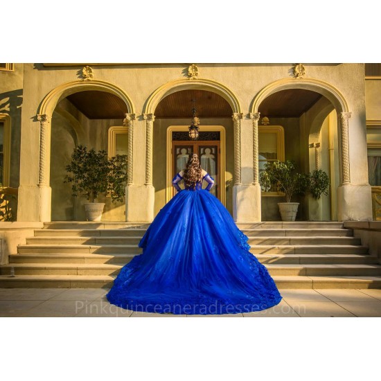 Long Sleeve Blue Quinceanera Dress Sweet 15 Gowns Lace Appliques Wear Pageant Sweetheart Neck 2024 Ball Gown Princess Dresses