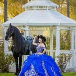 Sleeveless Blue Quinceanera Dress Sweetheart Sweet 15 Gowns Wear Pageant Lace Appliques 2024 Ball Gown Princess Dresses