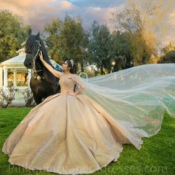 Sweetheart Champagne Quinceanera Dress Sweet 15 Gowns Sleeveless Wear Pageant Sequin 2024 Ball Gown Princess Dresses