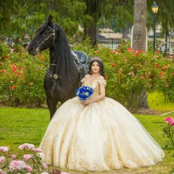 Gold Quinceanera Dress Sweetheart Neck Sweet 15 Gowns Off Shoulder Wear Pageant Lace Appliques Sequin 2024 Ball Gown Princess Dresses