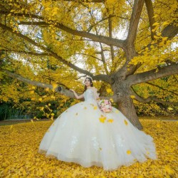 Ivory Quinceanera Dress Sleeveless Wear Pageant Lace Appliques 2024 Ball Gown Princess Dresses Sweetheart Sweet 15 Gowns