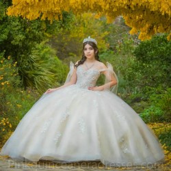 Ivory Quinceanera Dress Sleeveless Wear Pageant Lace Appliques 2024 Ball Gown Princess Dresses Sweetheart Sweet 15 Gowns