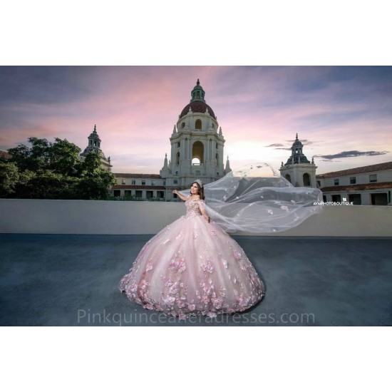 Pink Quince Dress 3D Flowers Birthday Party Dresses Sleeveless Vestidos De 15 Anos Sweetheart Neck 2024 Instagram Gowns