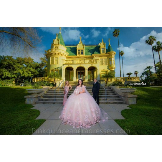 Pink Quince Dress 3D Flowers Birthday Party Dresses Sleeveless Vestidos De 15 Anos Sweetheart Neck 2024 Instagram Gowns