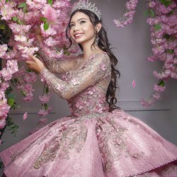 Pink Quince Dress Long Sleeve 2024 Instagram Ball Gown Lace Appliques Birthday Party Dresses Sweetheart Neck Sweet 15 Gowns